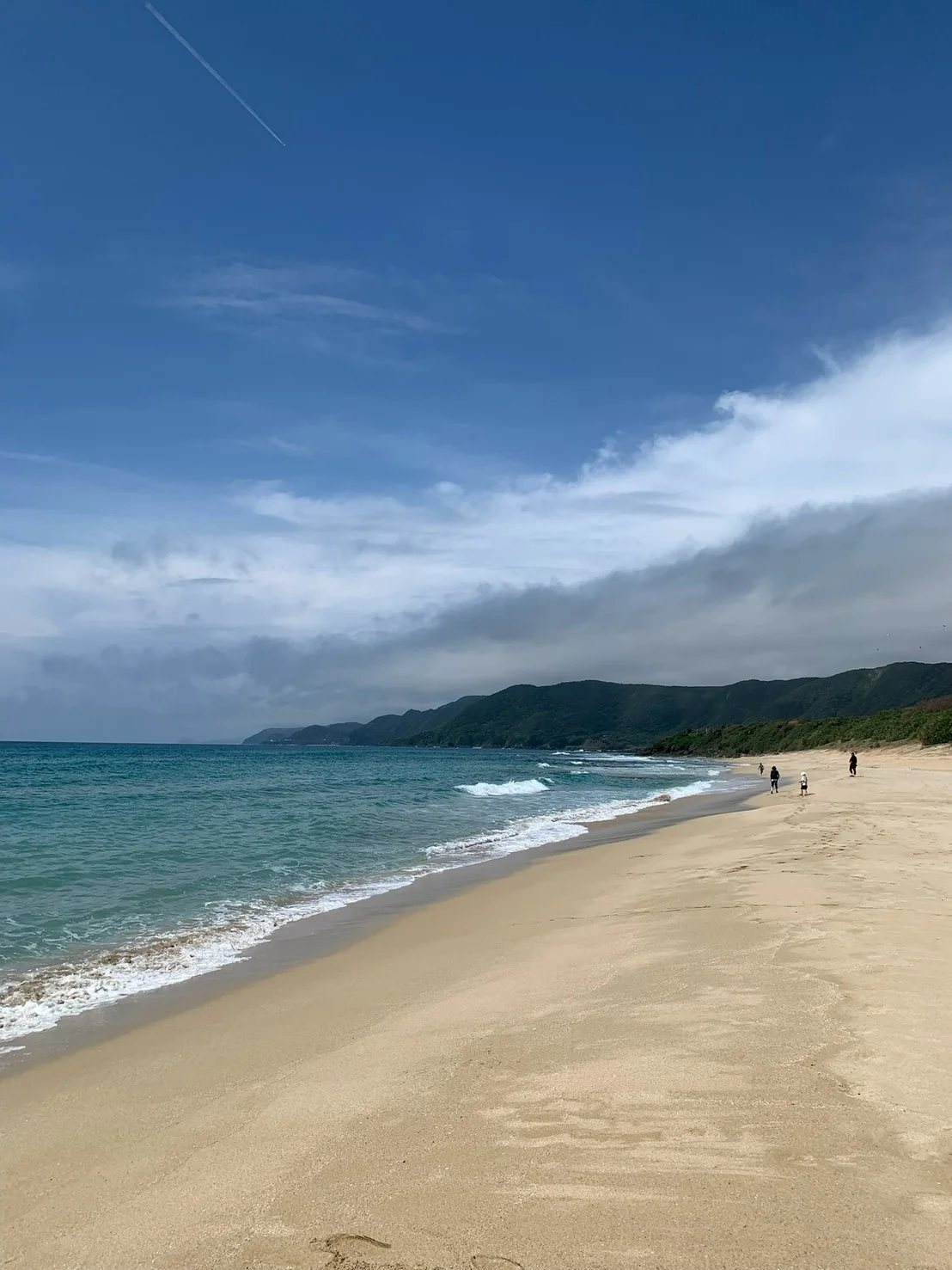 波が打ち寄せる砂浜の風景